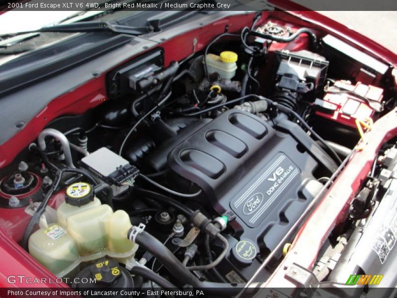 Bright Red Metallic / Medium Graphite Grey 2001 Ford Escape XLT V6 4WD