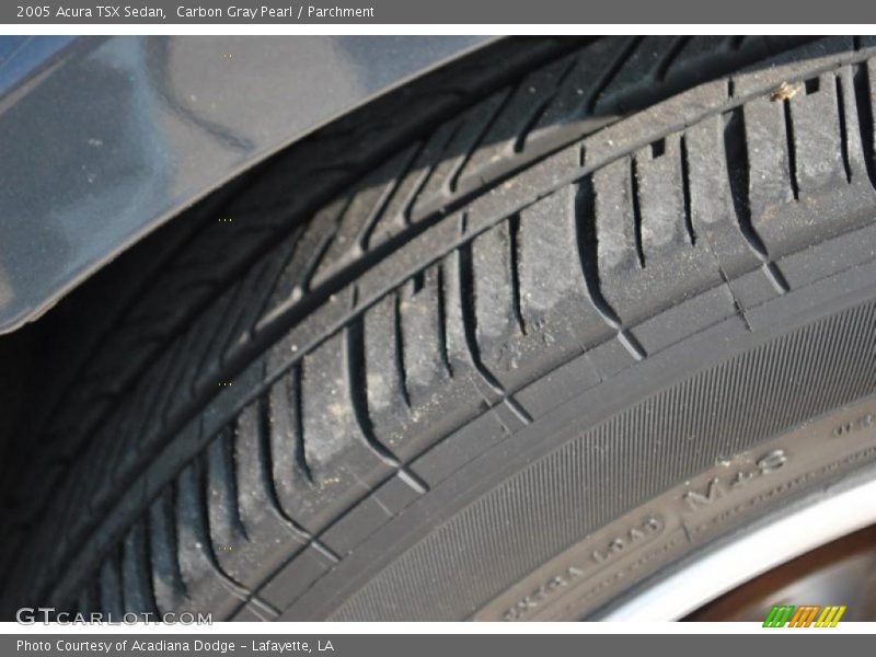Carbon Gray Pearl / Parchment 2005 Acura TSX Sedan