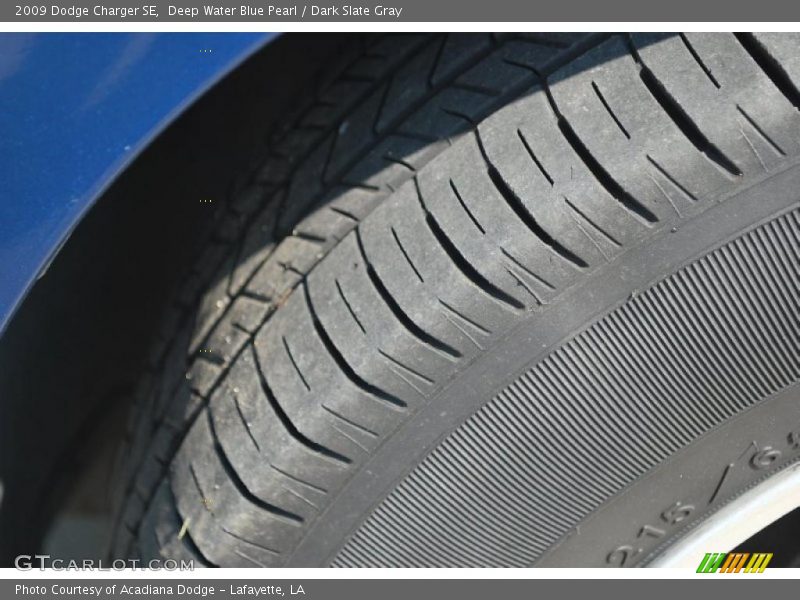Deep Water Blue Pearl / Dark Slate Gray 2009 Dodge Charger SE