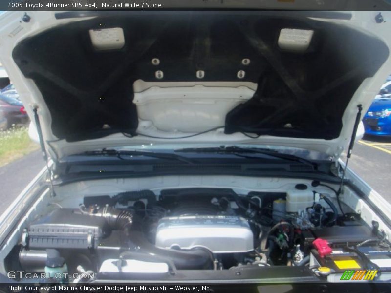 Natural White / Stone 2005 Toyota 4Runner SR5 4x4