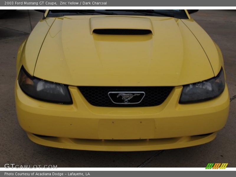 Zinc Yellow / Dark Charcoal 2003 Ford Mustang GT Coupe