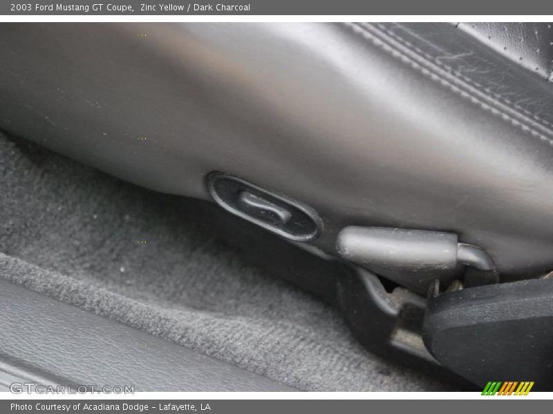 Zinc Yellow / Dark Charcoal 2003 Ford Mustang GT Coupe