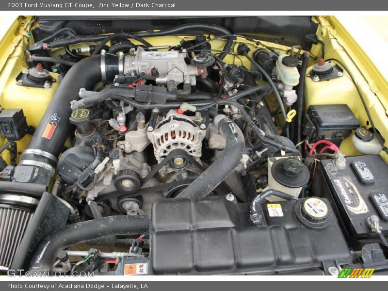 Zinc Yellow / Dark Charcoal 2003 Ford Mustang GT Coupe