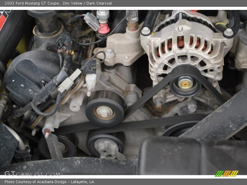 Zinc Yellow / Dark Charcoal 2003 Ford Mustang GT Coupe