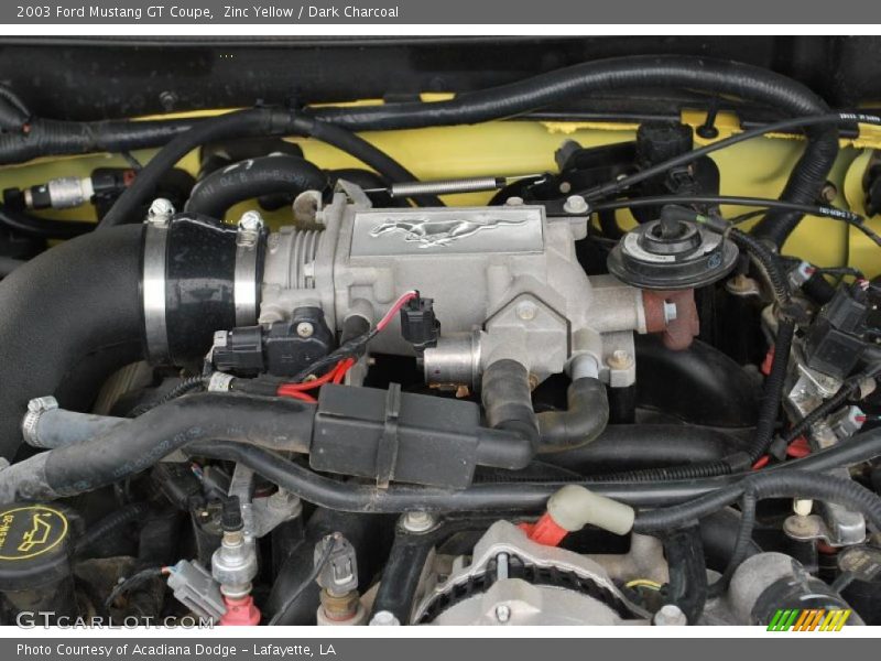 Zinc Yellow / Dark Charcoal 2003 Ford Mustang GT Coupe
