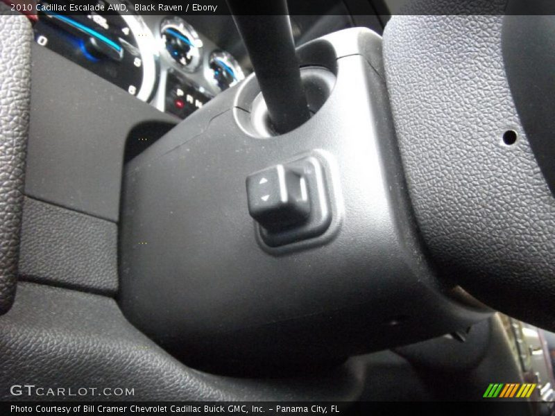 Black Raven / Ebony 2010 Cadillac Escalade AWD