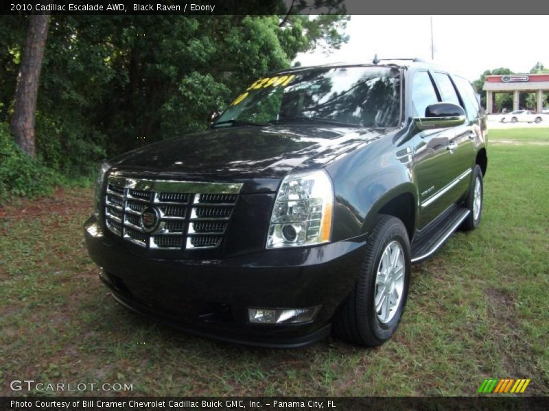 Black Raven / Ebony 2010 Cadillac Escalade AWD