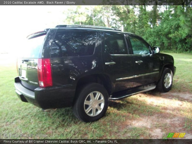 Black Raven / Ebony 2010 Cadillac Escalade AWD