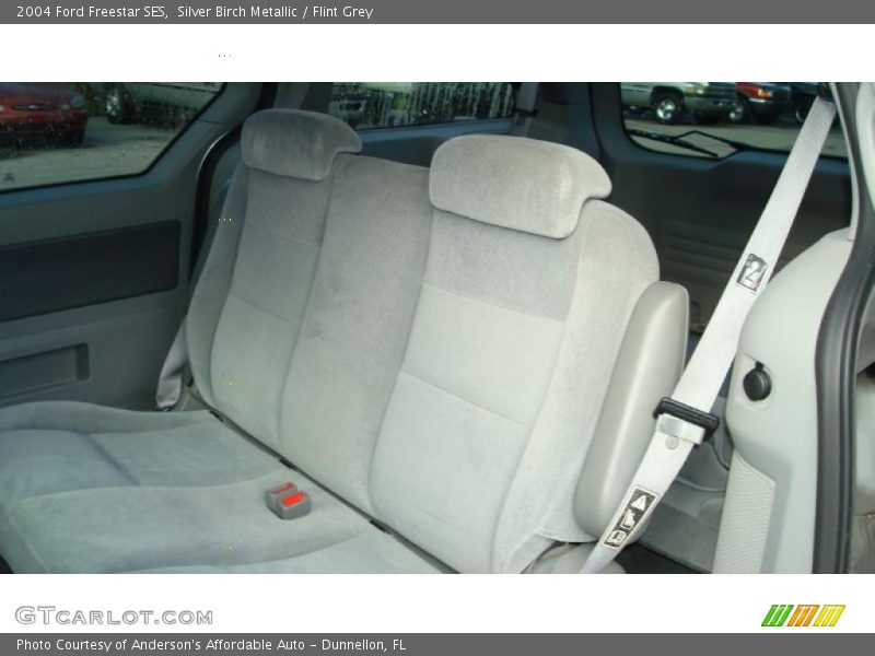 Silver Birch Metallic / Flint Grey 2004 Ford Freestar SES