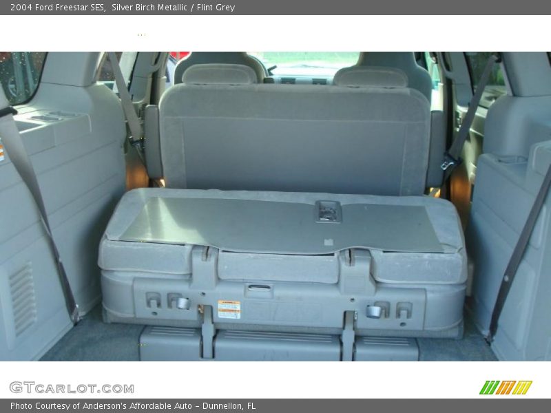 Silver Birch Metallic / Flint Grey 2004 Ford Freestar SES