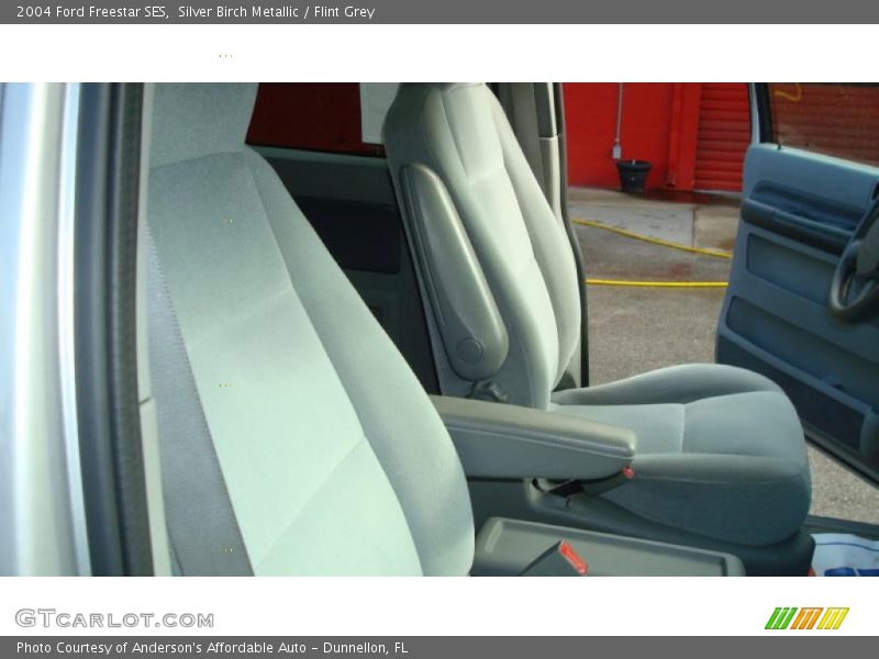 Silver Birch Metallic / Flint Grey 2004 Ford Freestar SES