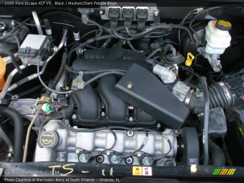 Black / Medium/Dark Pebble Beige 2005 Ford Escape XLT V6