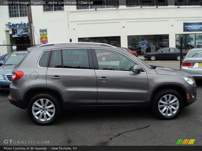 Alpine Grey Metallic / Charcoal 2009 Volkswagen Tiguan SE