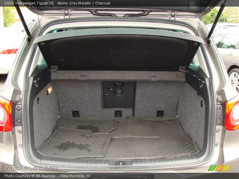 Alpine Grey Metallic / Charcoal 2009 Volkswagen Tiguan SE