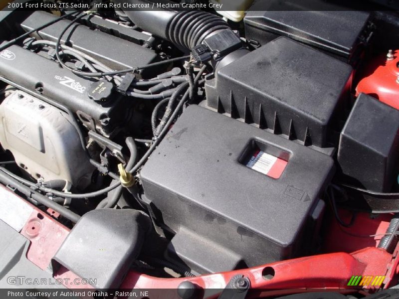 Infra Red Clearcoat / Medium Graphite Grey 2001 Ford Focus ZTS Sedan