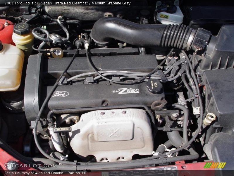 Infra Red Clearcoat / Medium Graphite Grey 2001 Ford Focus ZTS Sedan