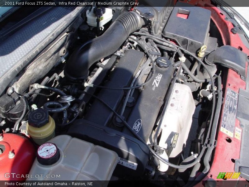 Infra Red Clearcoat / Medium Graphite Grey 2001 Ford Focus ZTS Sedan