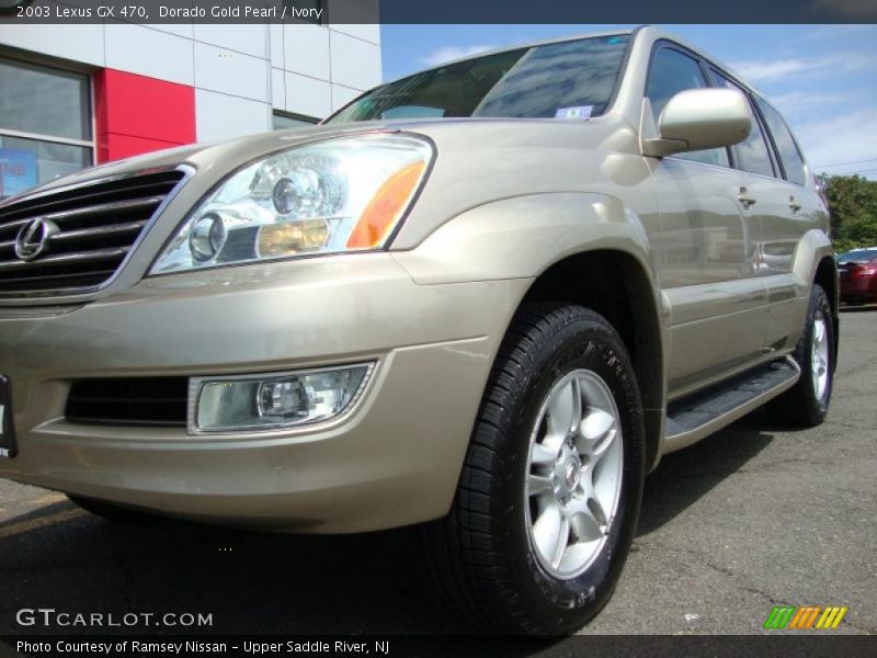 Dorado Gold Pearl / Ivory 2003 Lexus GX 470