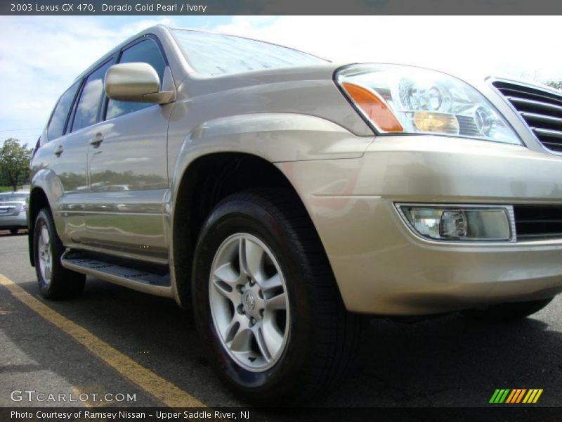 Dorado Gold Pearl / Ivory 2003 Lexus GX 470