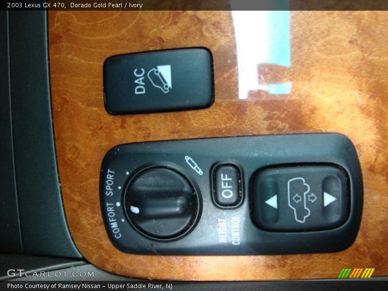 Dorado Gold Pearl / Ivory 2003 Lexus GX 470