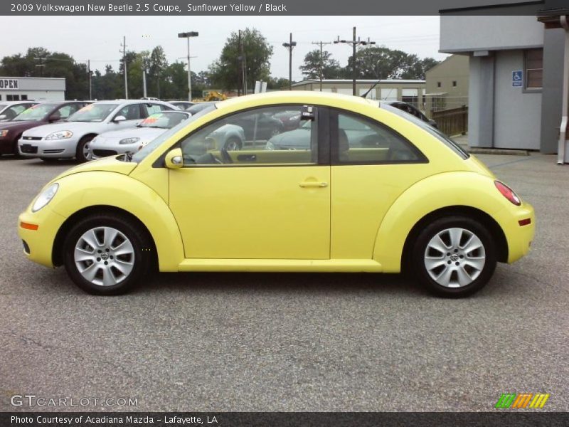 Sunflower Yellow / Black 2009 Volkswagen New Beetle 2.5 Coupe