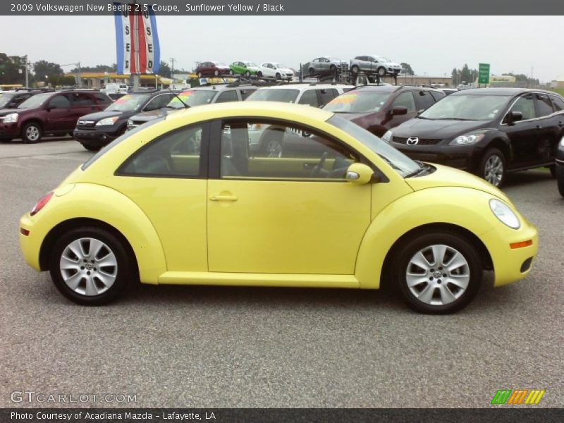 Sunflower Yellow / Black 2009 Volkswagen New Beetle 2.5 Coupe