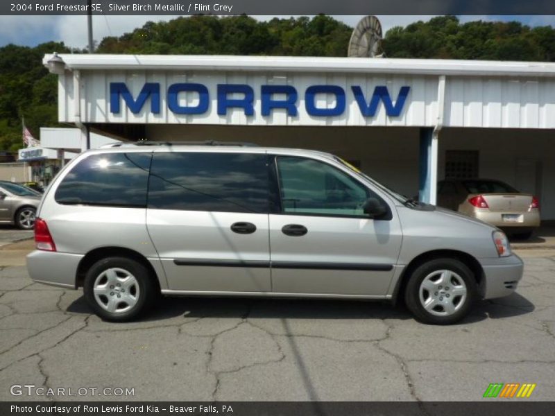 Silver Birch Metallic / Flint Grey 2004 Ford Freestar SE