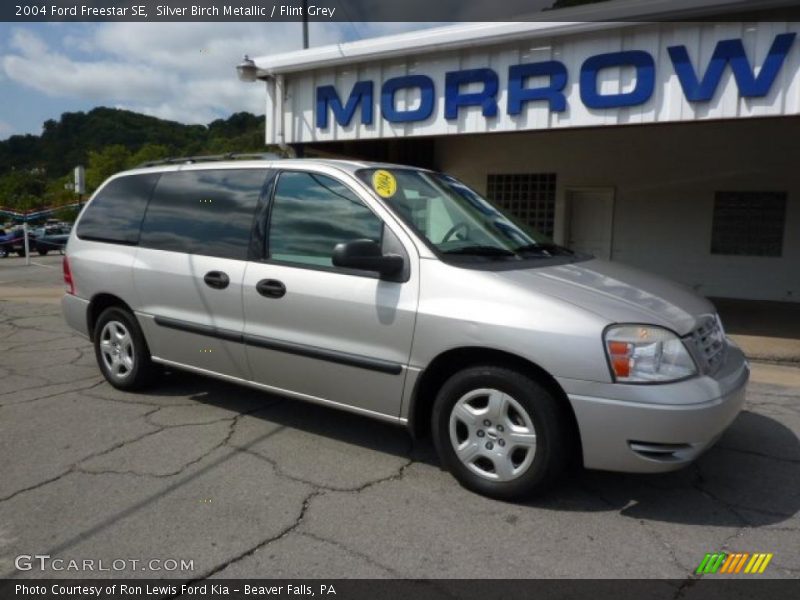 Silver Birch Metallic / Flint Grey 2004 Ford Freestar SE