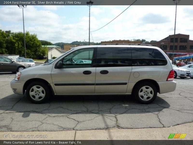 Silver Birch Metallic / Flint Grey 2004 Ford Freestar SE