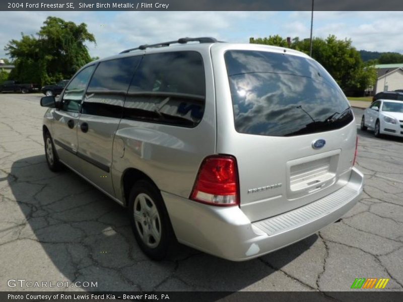 Silver Birch Metallic / Flint Grey 2004 Ford Freestar SE