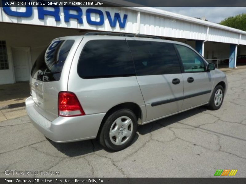 Silver Birch Metallic / Flint Grey 2004 Ford Freestar SE
