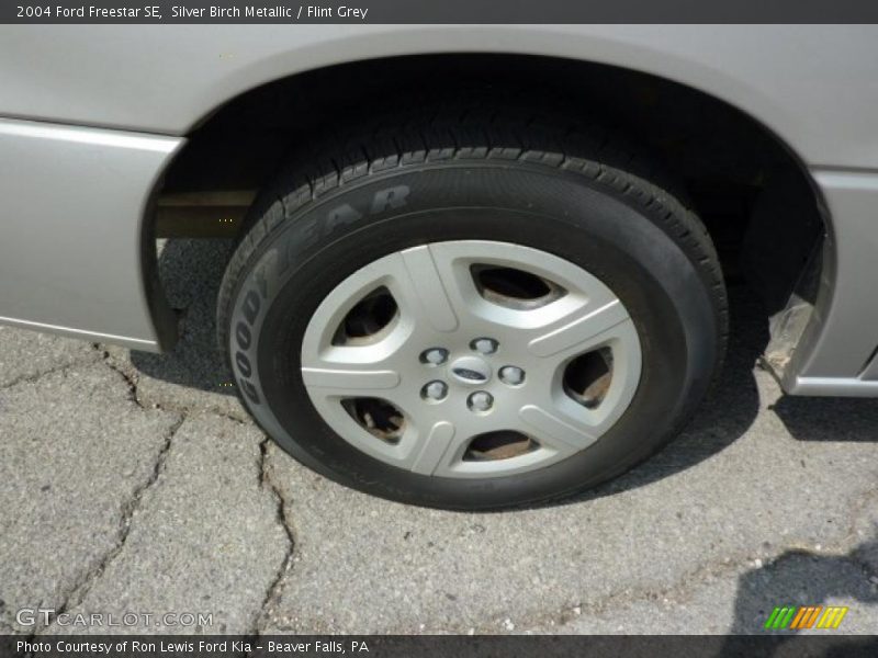 Silver Birch Metallic / Flint Grey 2004 Ford Freestar SE