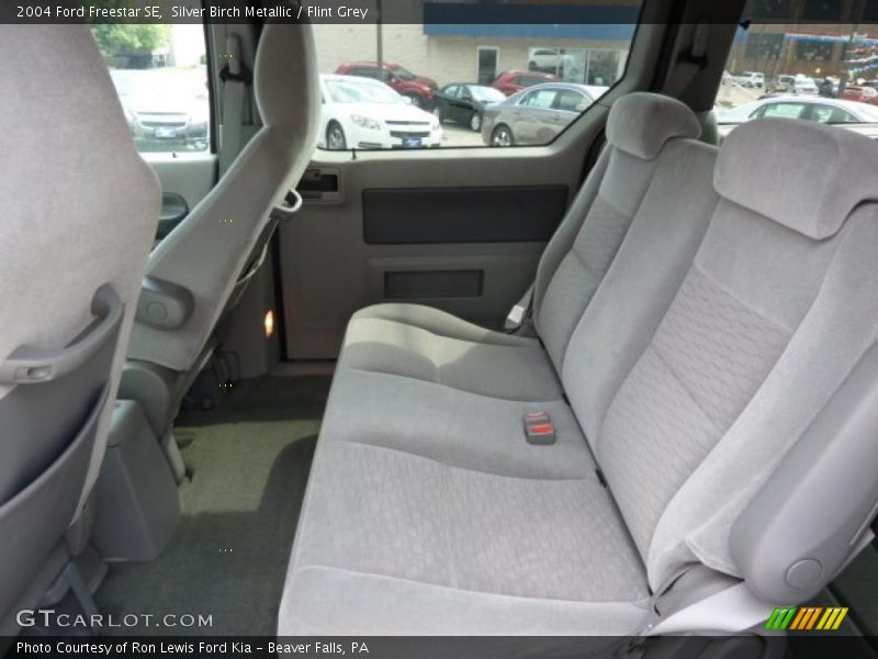 Silver Birch Metallic / Flint Grey 2004 Ford Freestar SE