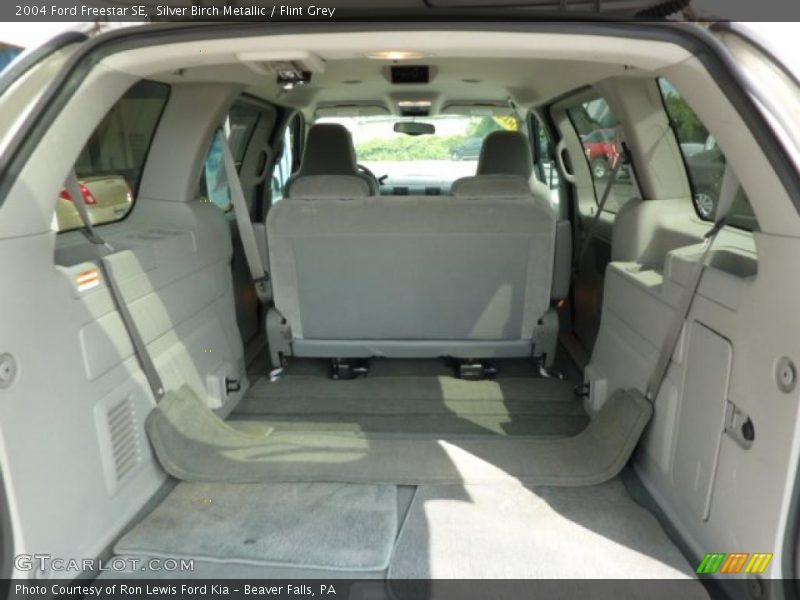 Silver Birch Metallic / Flint Grey 2004 Ford Freestar SE