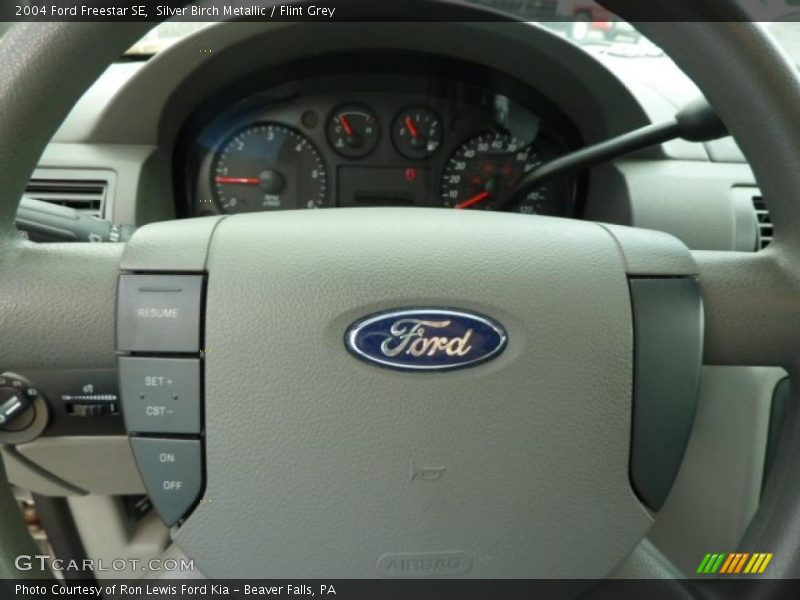 Silver Birch Metallic / Flint Grey 2004 Ford Freestar SE