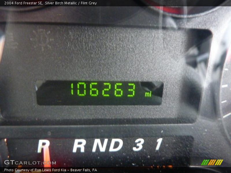 Silver Birch Metallic / Flint Grey 2004 Ford Freestar SE