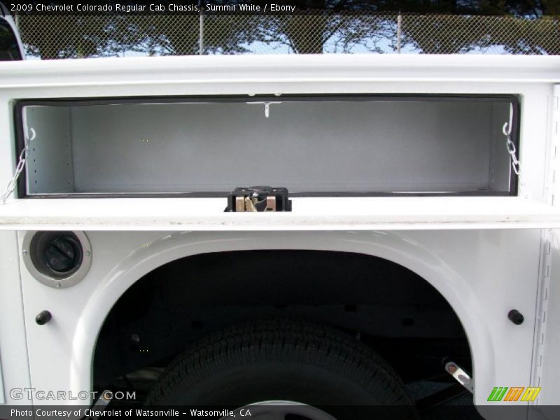 Summit White / Ebony 2009 Chevrolet Colorado Regular Cab Chassis
