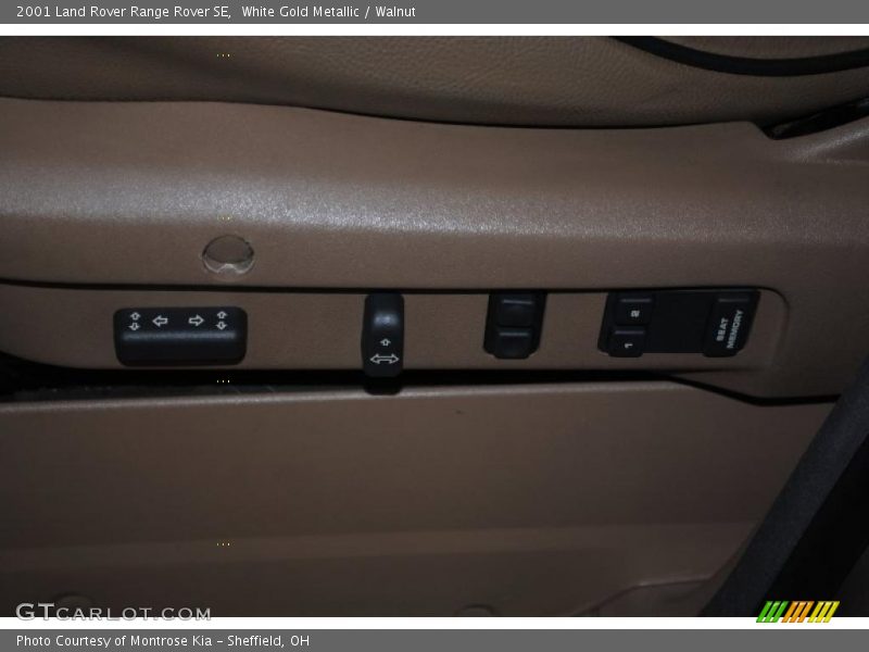 White Gold Metallic / Walnut 2001 Land Rover Range Rover SE