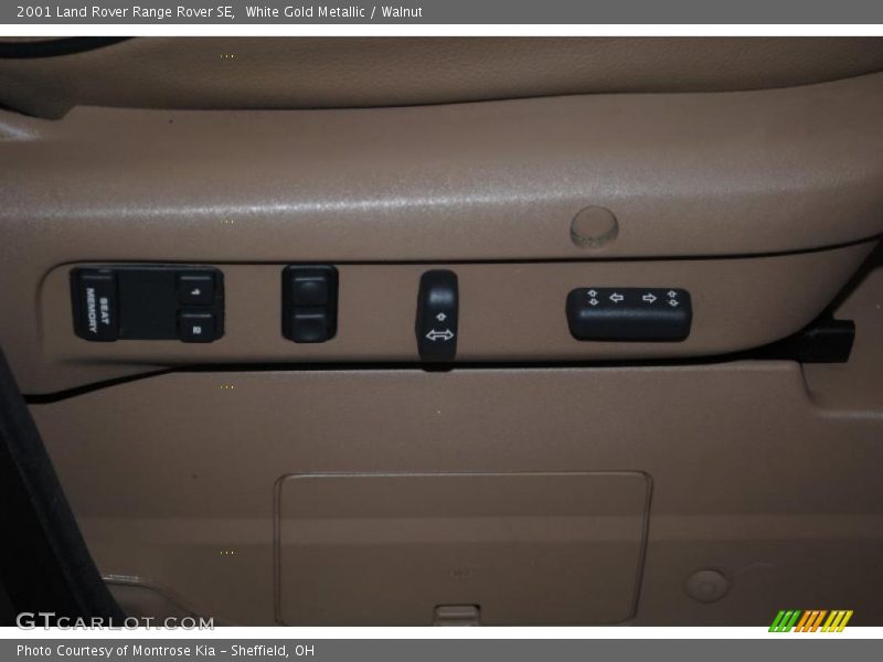 White Gold Metallic / Walnut 2001 Land Rover Range Rover SE
