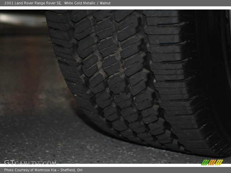 White Gold Metallic / Walnut 2001 Land Rover Range Rover SE