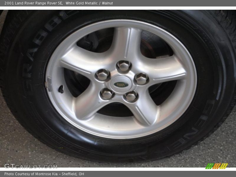 White Gold Metallic / Walnut 2001 Land Rover Range Rover SE