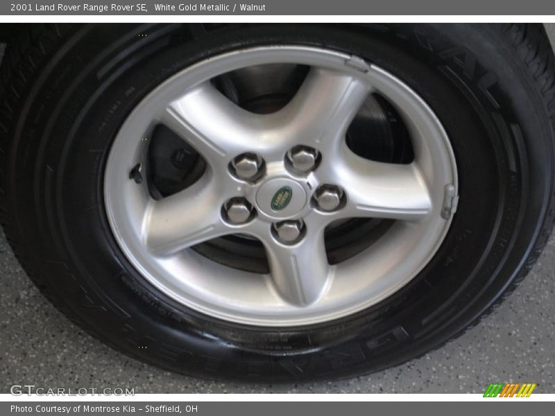 White Gold Metallic / Walnut 2001 Land Rover Range Rover SE