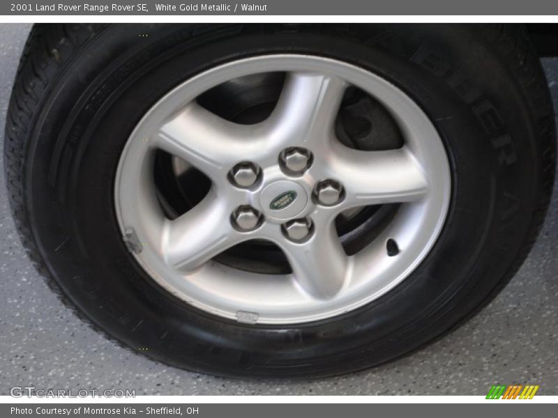 White Gold Metallic / Walnut 2001 Land Rover Range Rover SE