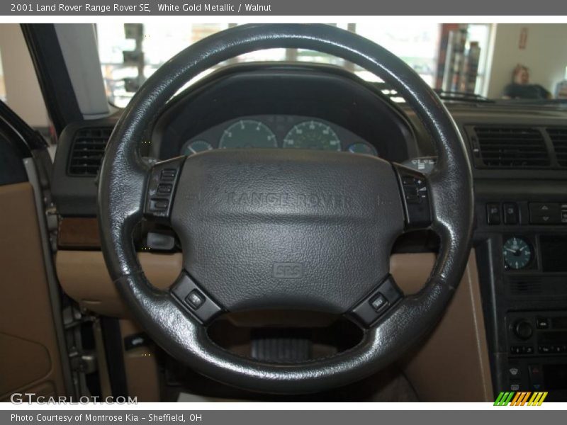 White Gold Metallic / Walnut 2001 Land Rover Range Rover SE