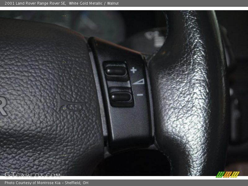 White Gold Metallic / Walnut 2001 Land Rover Range Rover SE