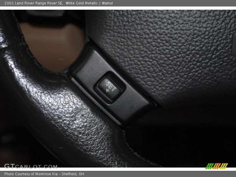 White Gold Metallic / Walnut 2001 Land Rover Range Rover SE