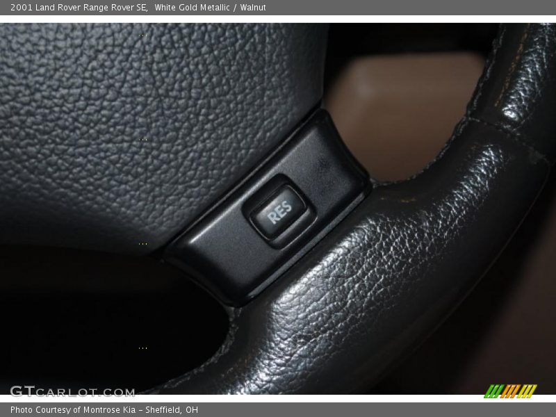 White Gold Metallic / Walnut 2001 Land Rover Range Rover SE
