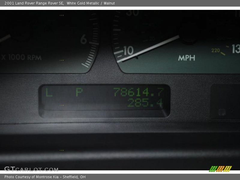 White Gold Metallic / Walnut 2001 Land Rover Range Rover SE