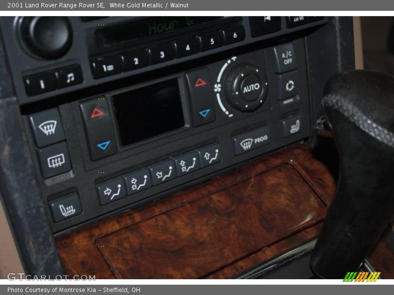 White Gold Metallic / Walnut 2001 Land Rover Range Rover SE