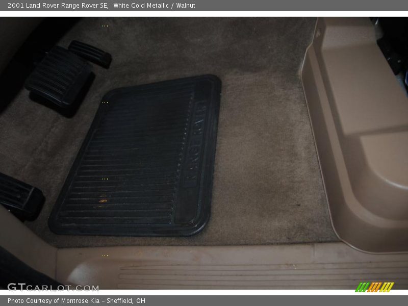 White Gold Metallic / Walnut 2001 Land Rover Range Rover SE